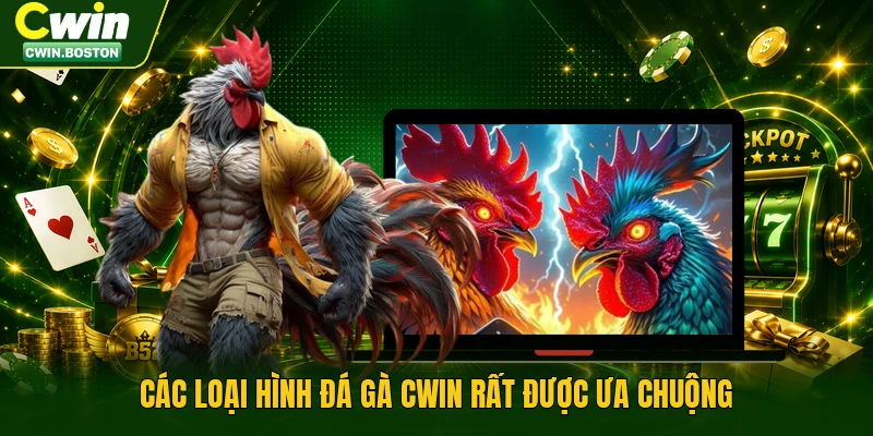 Các loại hình đá gà Cwin rất được ưa chuộng